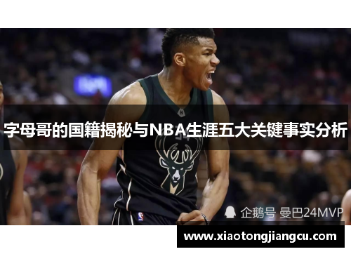 字母哥的国籍揭秘与NBA生涯五大关键事实分析 字母哥的国籍揭秘与NBA生涯五大关键事实分析