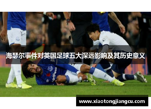 海瑟尔事件对英国足球五大深远影响及其历史意义 海瑟尔事件对英国足球五大深远影响及其历史意义