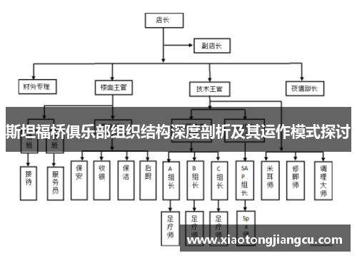 斯坦福桥俱乐部组织结构深度剖析及其运作模式探讨